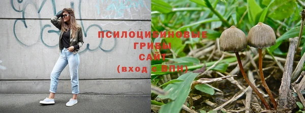твердый Балахна