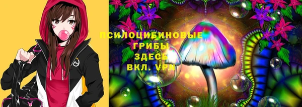 твердый Балахна