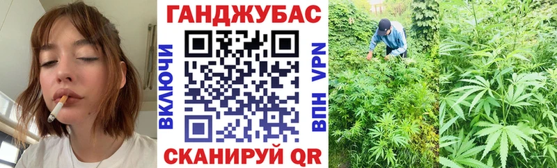 Каннабис гибрид Приморско-Ахтарск